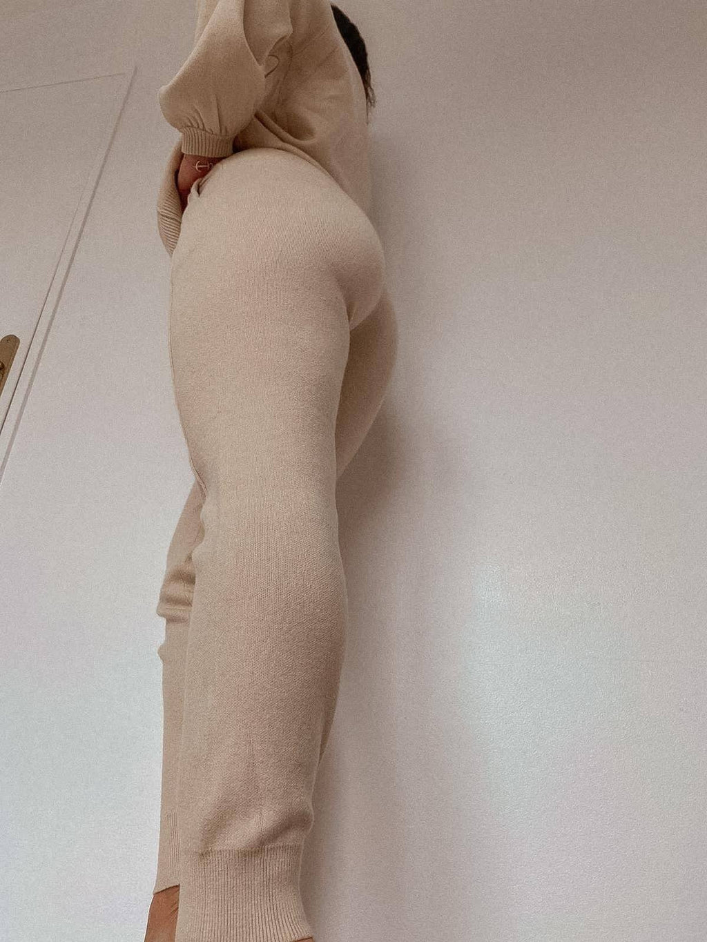 Ensemble MILA