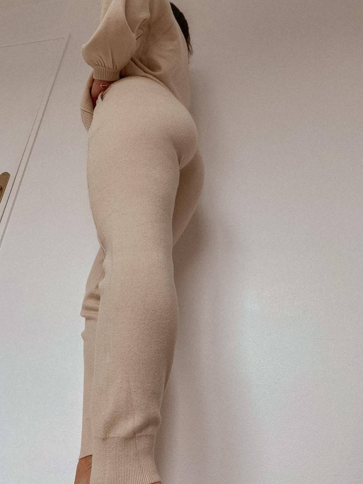 Ensemble MILA